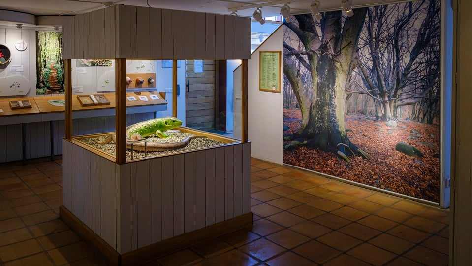 Fotograf: Andreas Lindahl Inifrån en utställning i Naturum